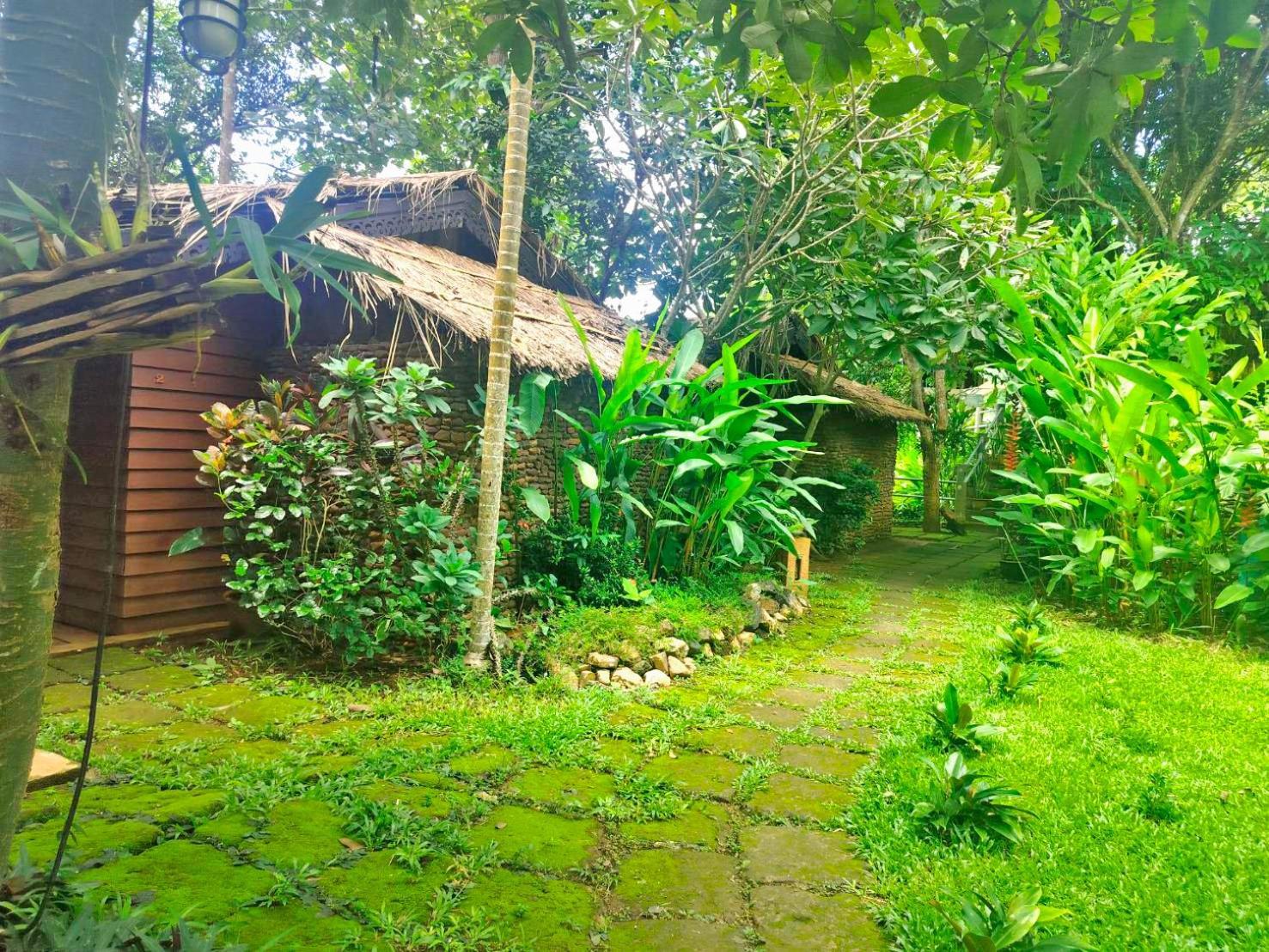 Hot Coffee Guest House And Resort Ban Mae Na Chon Eksteriør billede
