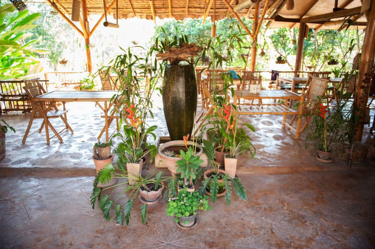 Hot Coffee Guest House And Resort Ban Mae Na Chon Eksteriør billede
