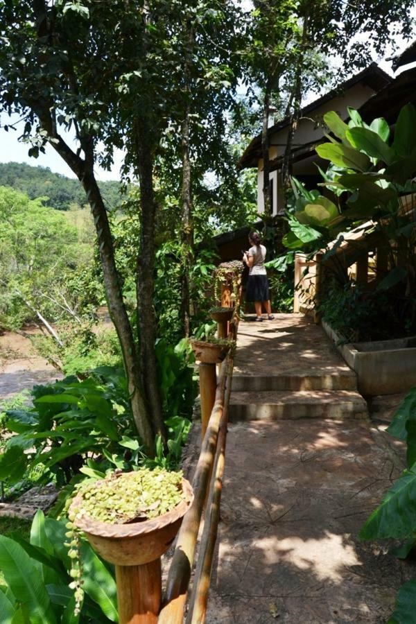 Hot Coffee Guest House And Resort Ban Mae Na Chon Eksteriør billede