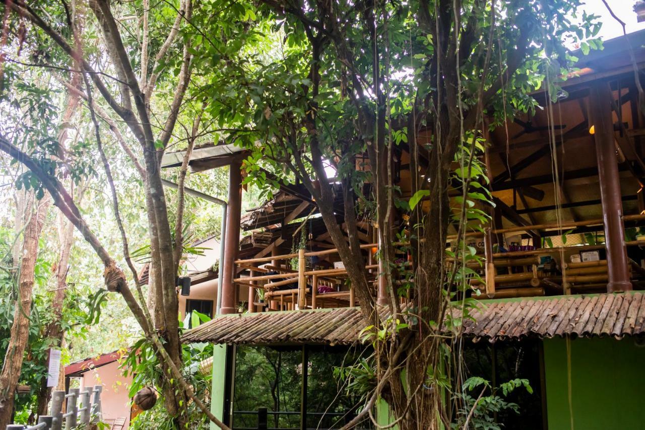 Hot Coffee Guest House And Resort Ban Mae Na Chon Eksteriør billede